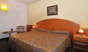 Ascot Bed and Breakfast